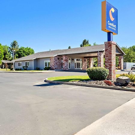 Comfort Inn & Suites Susanville Exterior foto